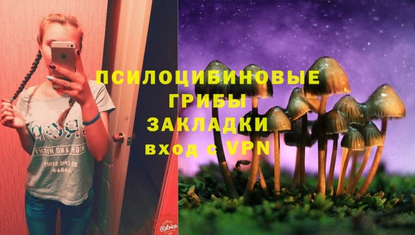 мдпв Володарск